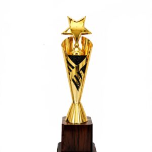 Gold Metallic Star Trophy by RDG Sports model Si-2231